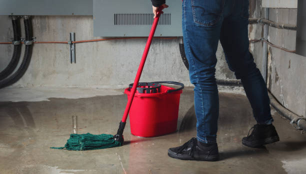 Best Carpet water damage restoration  in Franklin Farm, VA