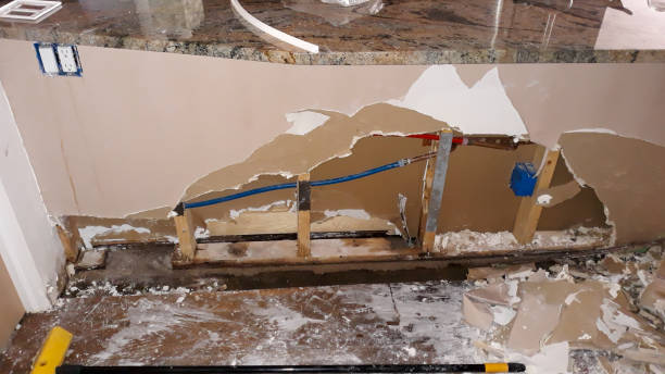 Best Water damage restoration mold remediation  in Franklin Farm, VA