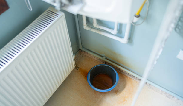 Best Local water damage restoration  in Franklin Farm, VA