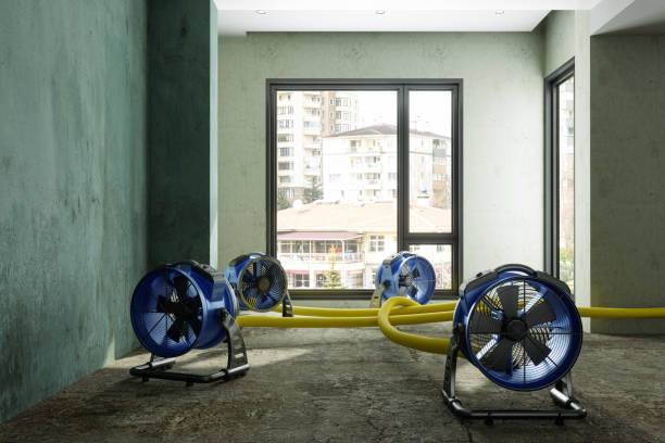 Best 24/7 water damage repair  in Franklin Farm, VA