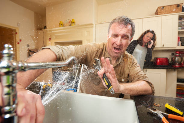 Best Ceiling water damage repair  in Franklin Farm, VA